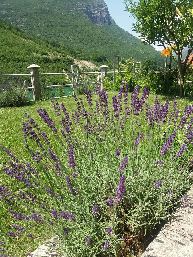 Kuca Lavanda Dreznjak 외부 사진